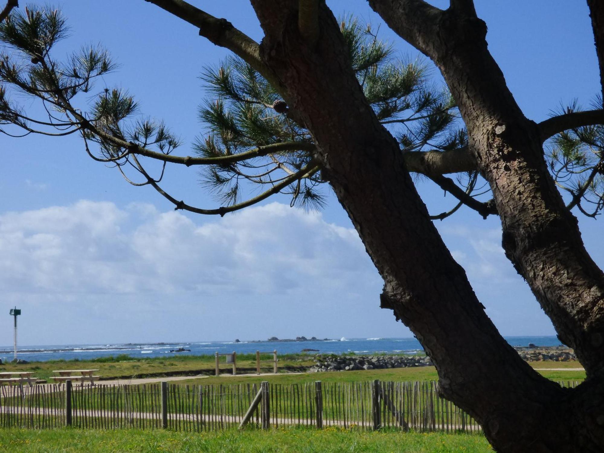 Appart-Studios Vue Mer Panoramique St Guenole Cote Mer Penmarcʼh Zimmer foto